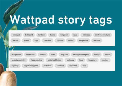 litercotica story tags